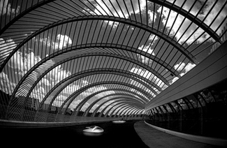Curved Arches