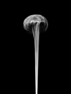 Plasma Flower
