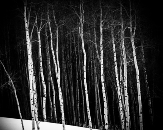 Aspens in Park City