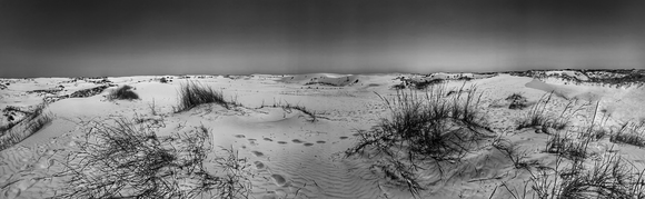 Footprints in the Monahans Sand