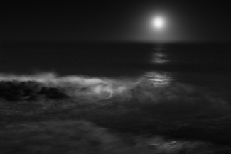Harvest Moon