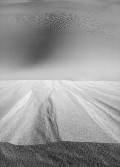 Death Valley Dune