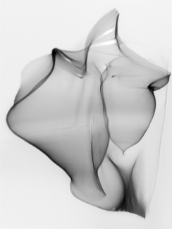 Light Forms