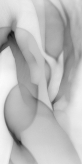 Light Stride