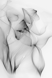 Light Flow