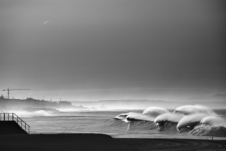 White Horses
