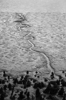 Low tide