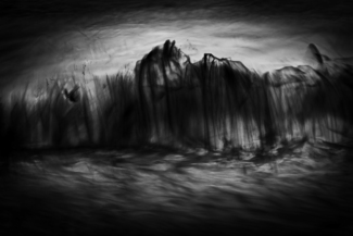 Wave No. 8