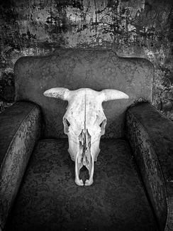 Skull