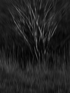 brushstrokes_I