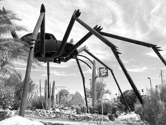 Spider