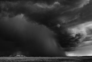 Prairie Duster