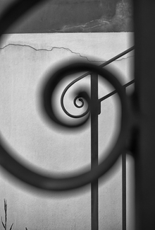 The Golden Ratio.