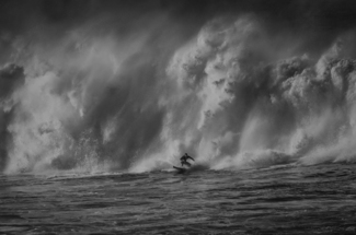 Ocean Gladiator