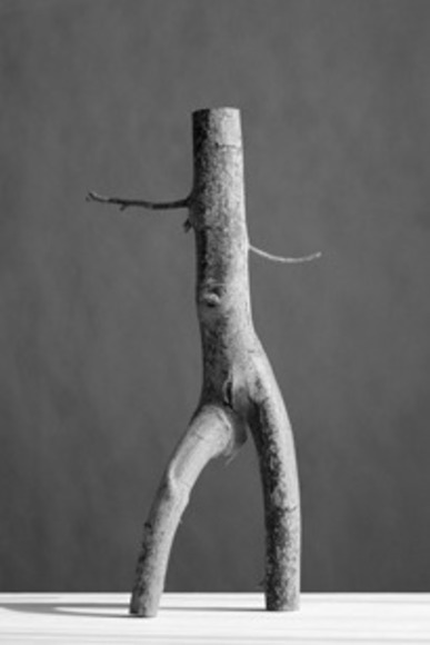 Arbor II