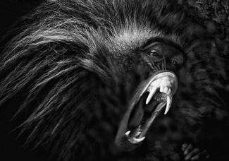 Angry