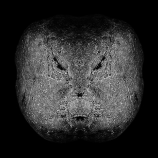 Alien Visitor