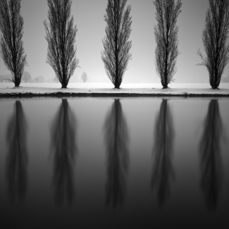 Graphical Nature