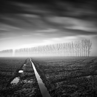 Lines Of Nature