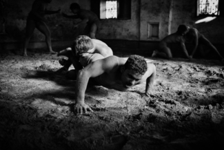 Wrestlers