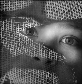 Looking Out (1)