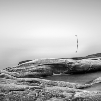 Calm sea and frosty rocks in the fog