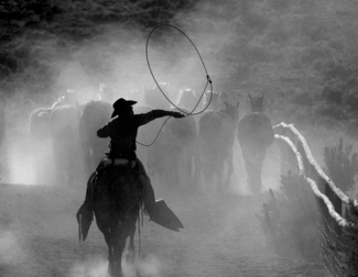Head 'em Up!