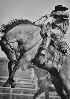 Ride 'Em