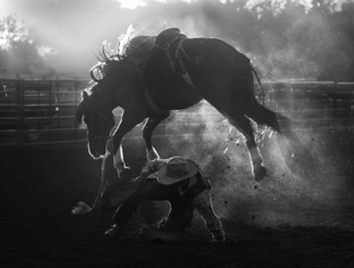 Bronc:1, Cowboy:0