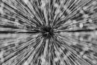 Tomic_Duschan_Chestnut Abstraction