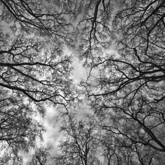 sky
