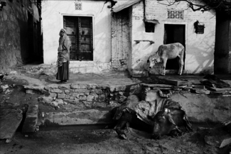 India 9