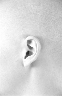 Ear