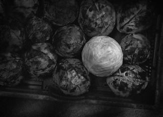 cabbage