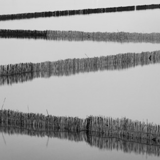 Zigzag