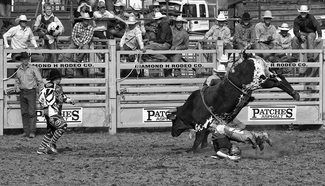 Rodeo Spill 2