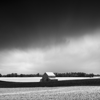 Kentucky Farm