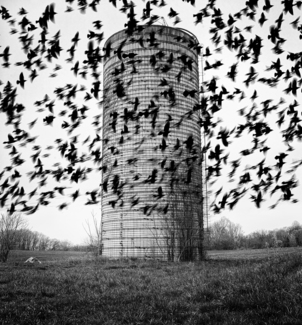 Silo