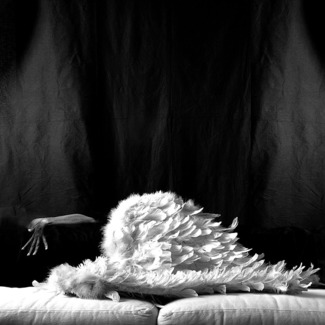 Untitled 8