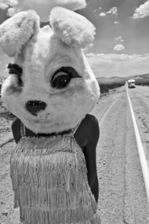 Lost in Mojave