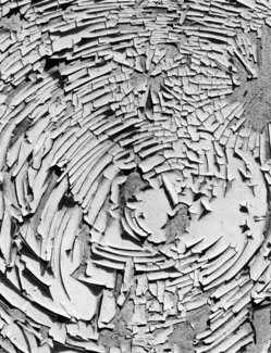Cracked Paint