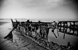 Low Tide 2