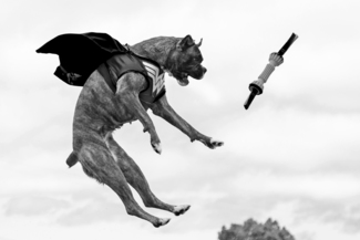 Wonder Woman taking Flight