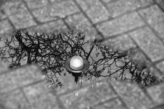 Puddle