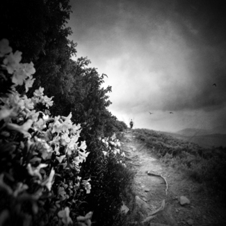 footstep no13