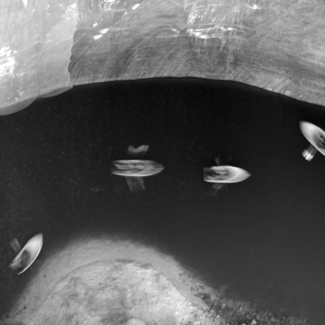 100 feet under