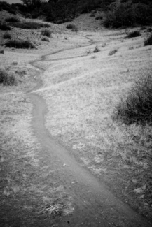 Path