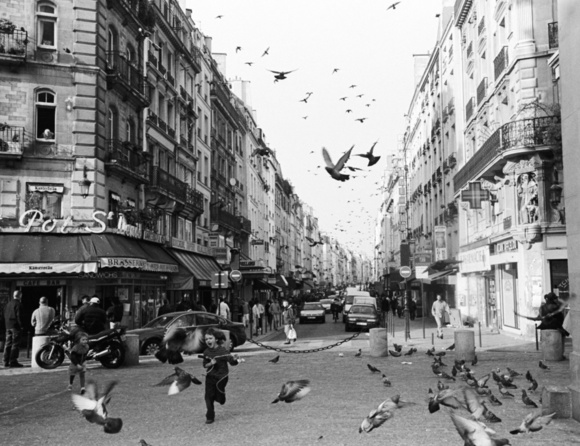 Girls and Birds