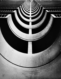 Spine