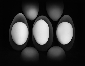 Edible Egg